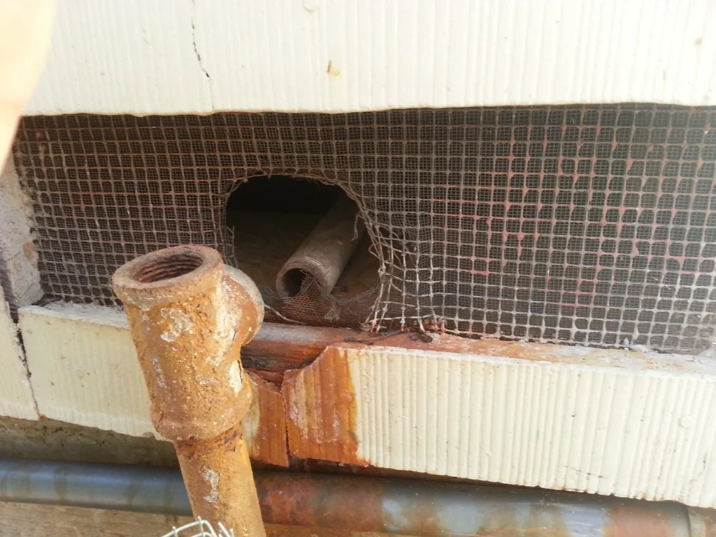 Rodent entry point sealed during exclusion work