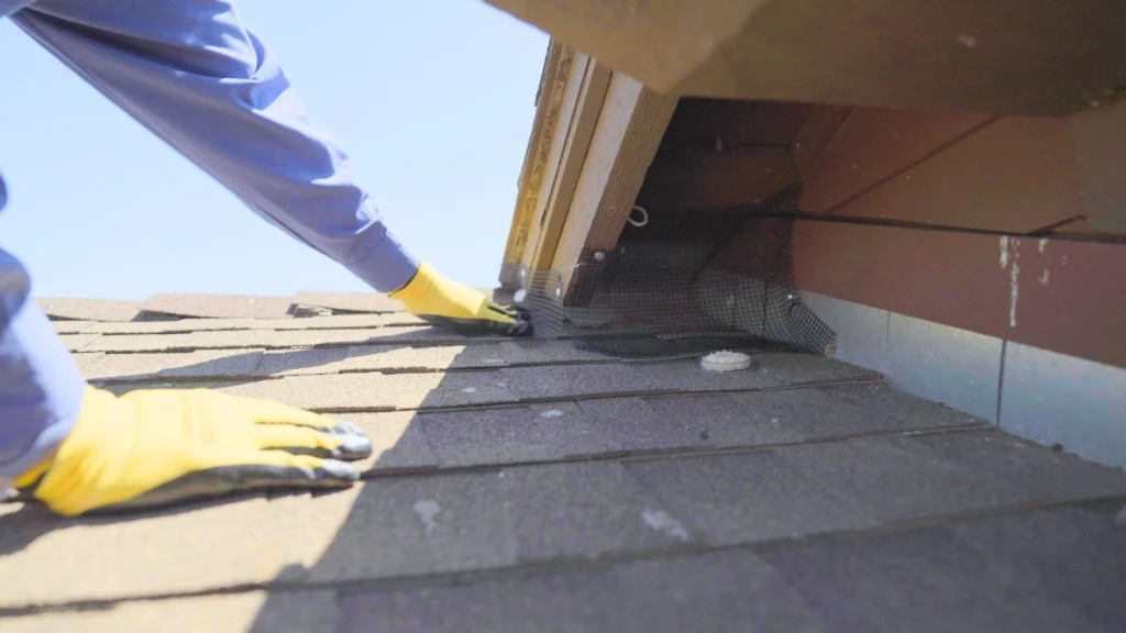 Technician sealing a roofline against rodent entry